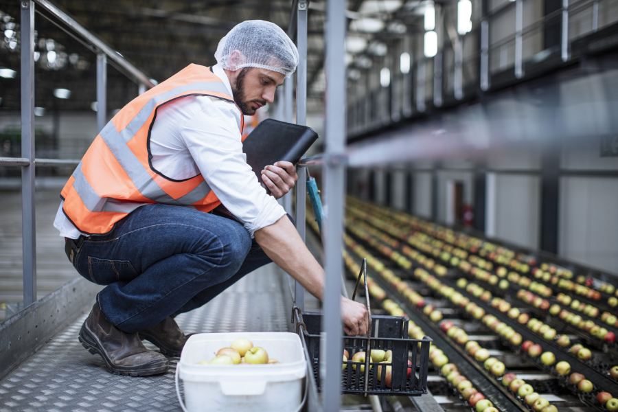 Food safety inspector Image